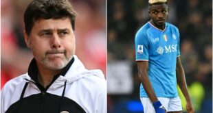 Osimhen talks opened as Poch to admit mistakes