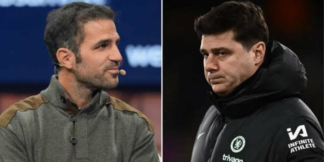 Cesc Fabregas backed to replace Mauricio Pochettino at Chelsea