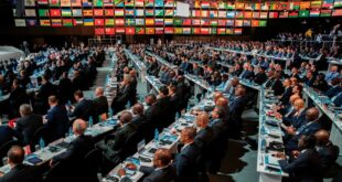 Palestine, 2027 World Cup vote and racism to take centrestage at FIFA Congress