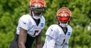 Ja’Marr Chase and Tee Higgins did not report to the start of voluntary OTA’s