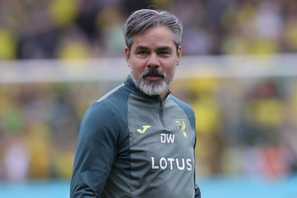 Norwich City sack manager David Wagner after play-off defeat