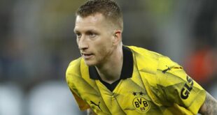 Reus hopes for Champions League title in final Dortmund season