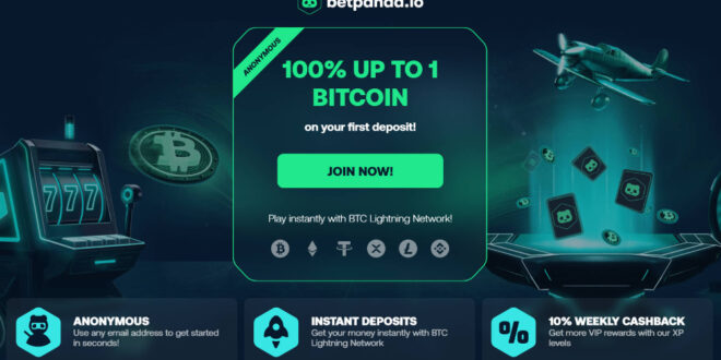 The Advantages of Betting With Bet Panda Bitcoin Casino |