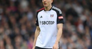 Fulham reject £38m offer for one of Marco Silva’s most important players