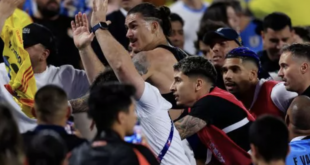 Conmebol opens probe into Uruguayan players fight with fans and warns against further violence