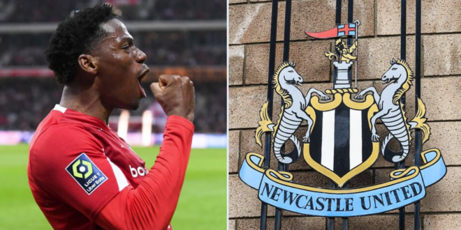 Newcastle turn to £25m Ligue 1 star as Eddie Howe eyes three key signings – Report