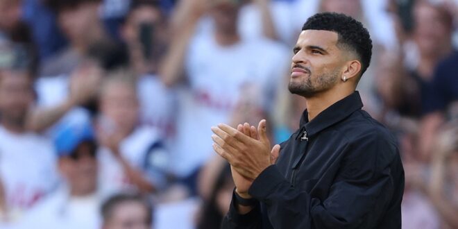 Spurs fans will love what former striker said about Dominic Solanke