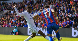 Crystal Palace Player Ratings vs Leicester: Premier League