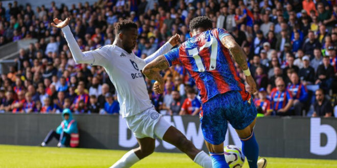 Crystal Palace Player Ratings vs Leicester: Premier League